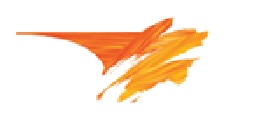 custom logo