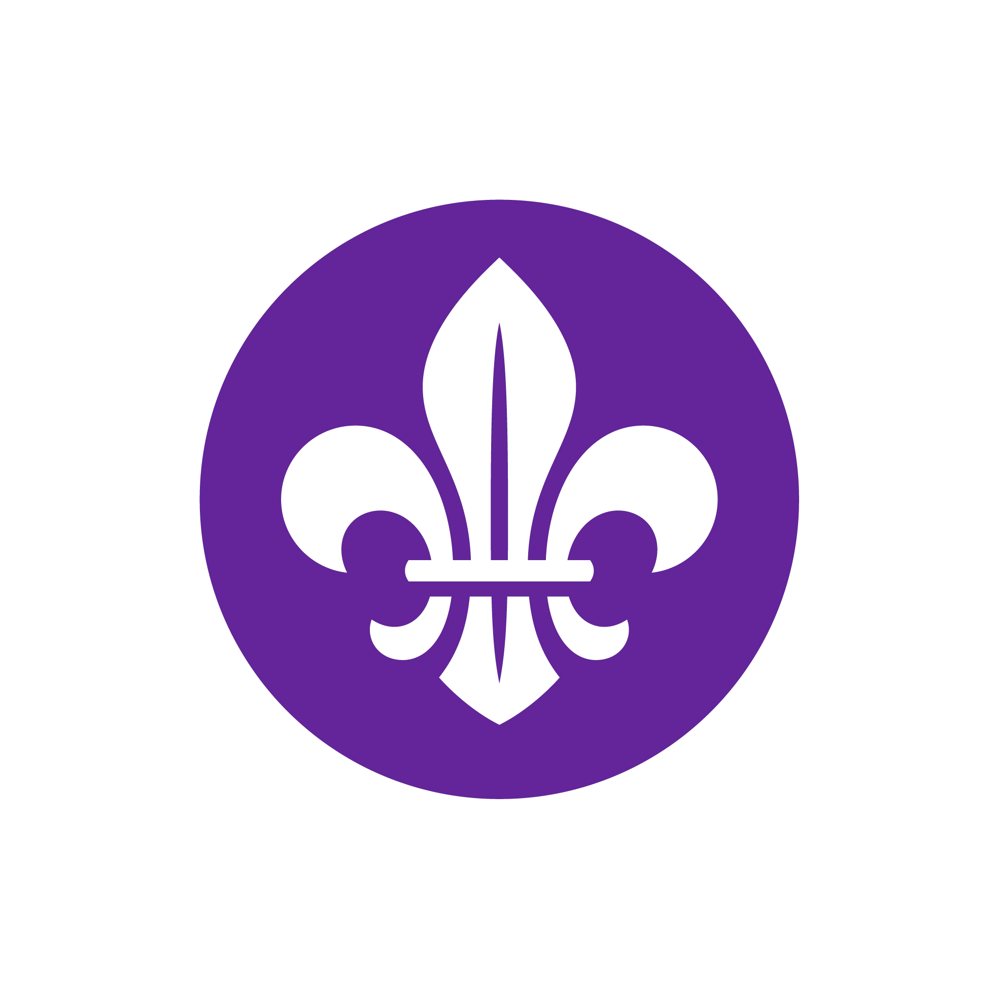 custom logo