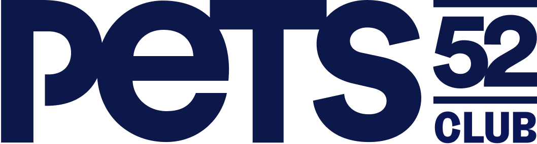 custom logo