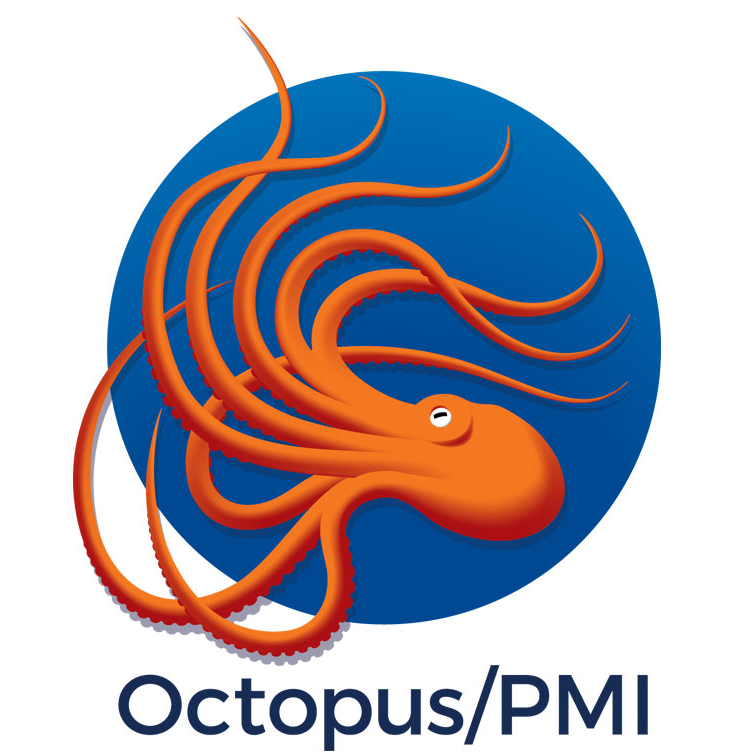 custom logo