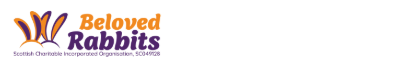 custom logo