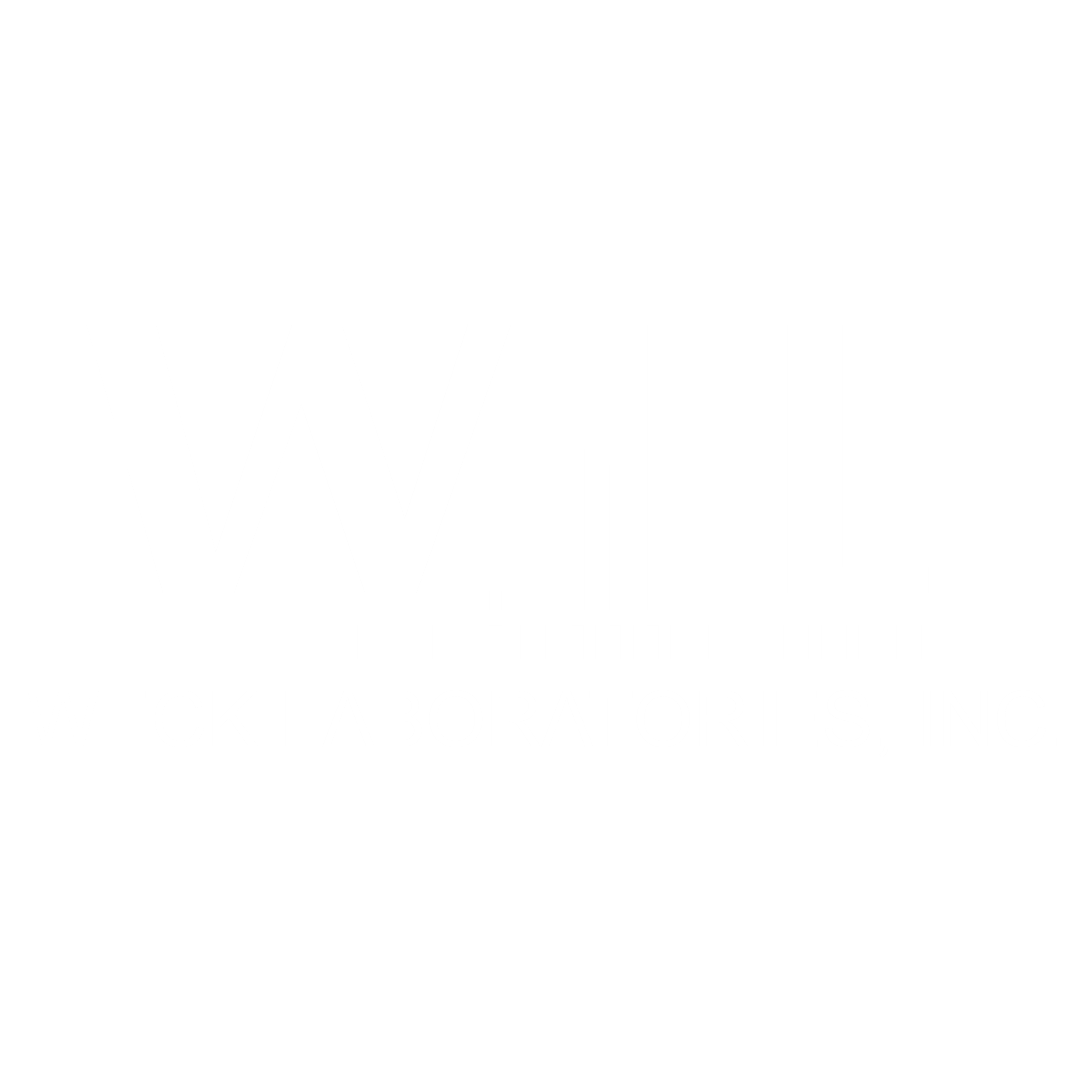 custom logo